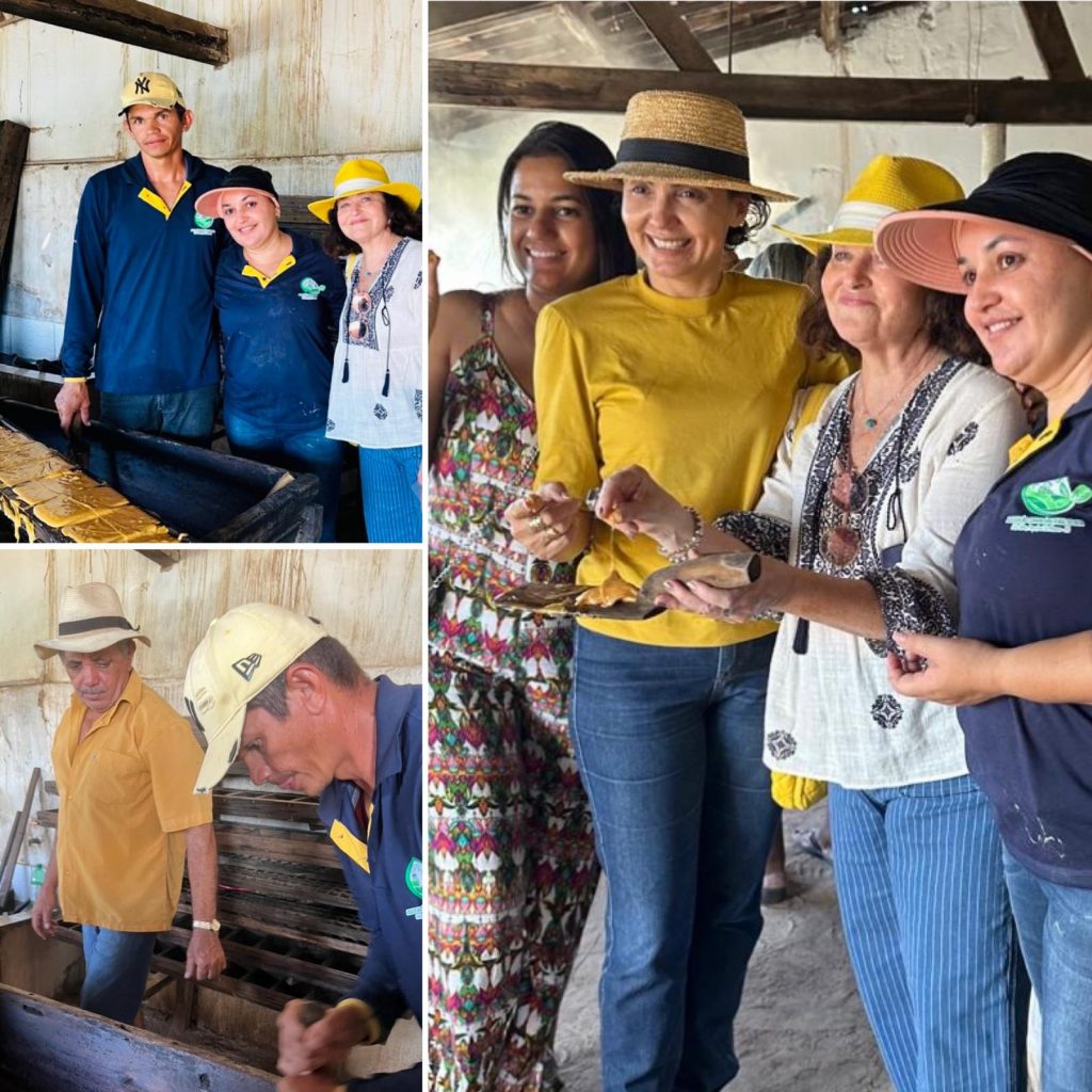 Como a filantropia cruza fronteiras e ressignifica o sertão como potência na Paraíba