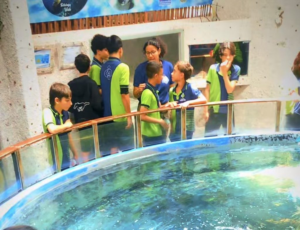 Aquário Paraíba transforma visitas escolares em experiência de educação ambiental