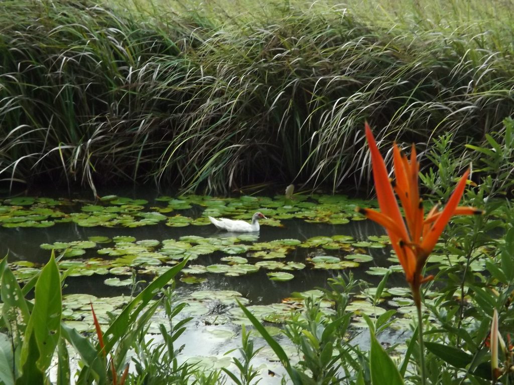 Wanderlust Aí Vamos Nós e os preparativos para novas experiências na Paraíba
