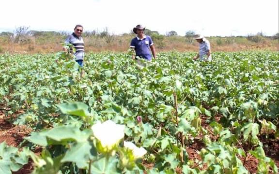 Prefeitura de CG divulga chamada pública para aquisição de alimentos da agricultura familiar para o PNAE 2026