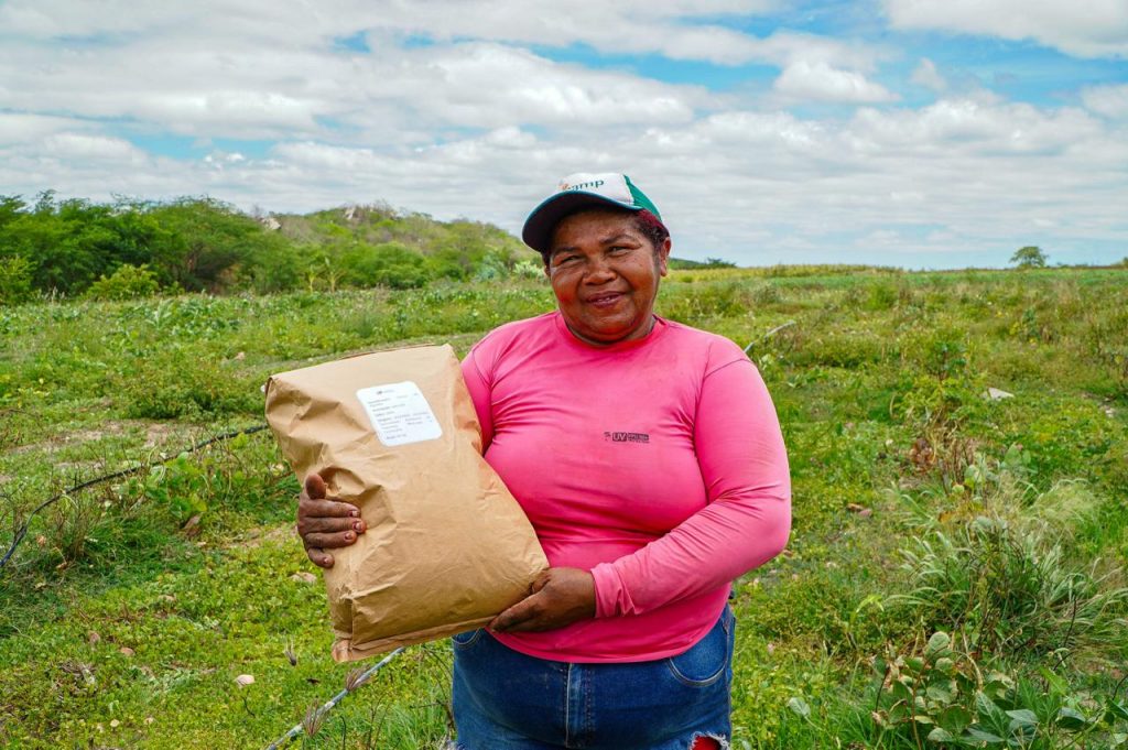 CG inicia entrega de sementes de algodão orgânico para famílias no Programa Ouro Branco