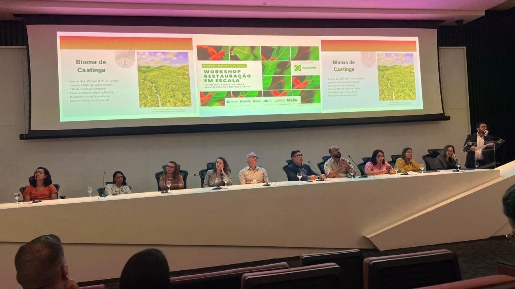 Regulariza-PB e Nascente Viva são destaque em workshop nacional sobre restauração ambiental