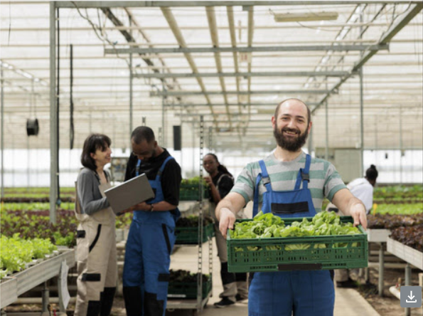 15% das patentes em biotecnologia do Brasil partem das universidades federais do Nordeste