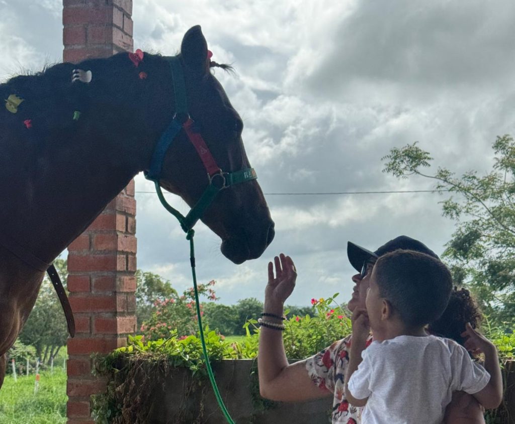 Empreendedora cria centro de equoterapia para crianças com autismo em Gurinhém