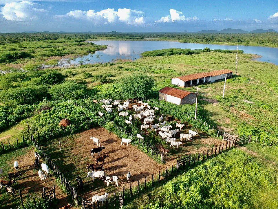 Paraíba terá Empretec Rural, maior programa de formação de empreendedores do mundo voltado ao agro