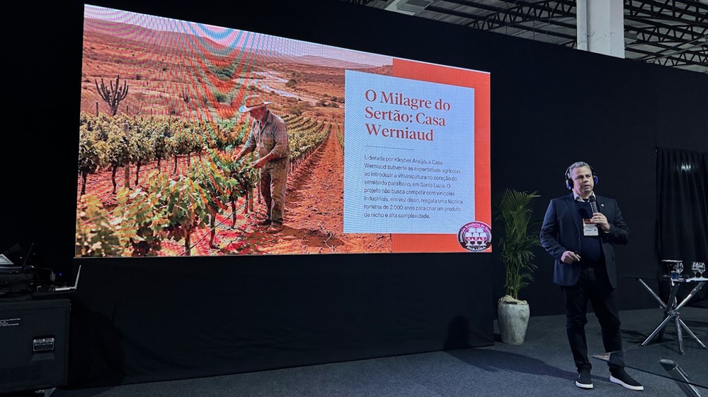 Paraíba marca presença na Wine South America 2026 e fortalece viticultura nordestina
