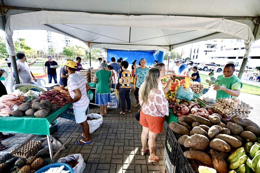 Feira da Agricultura Familiar fortalece produtores e amplia acesso a alimentos saudáveis em JP