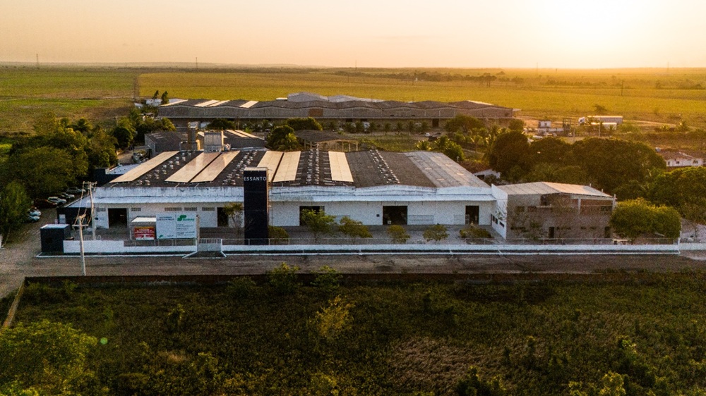 Nordeste ganha força na indústria moveleira e amplia espaço para marcas premium e produção regional