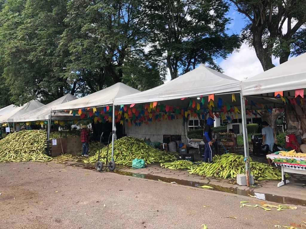 Feira do Milho da Empasa tem previsão de comercializar mais de 400 toneladas