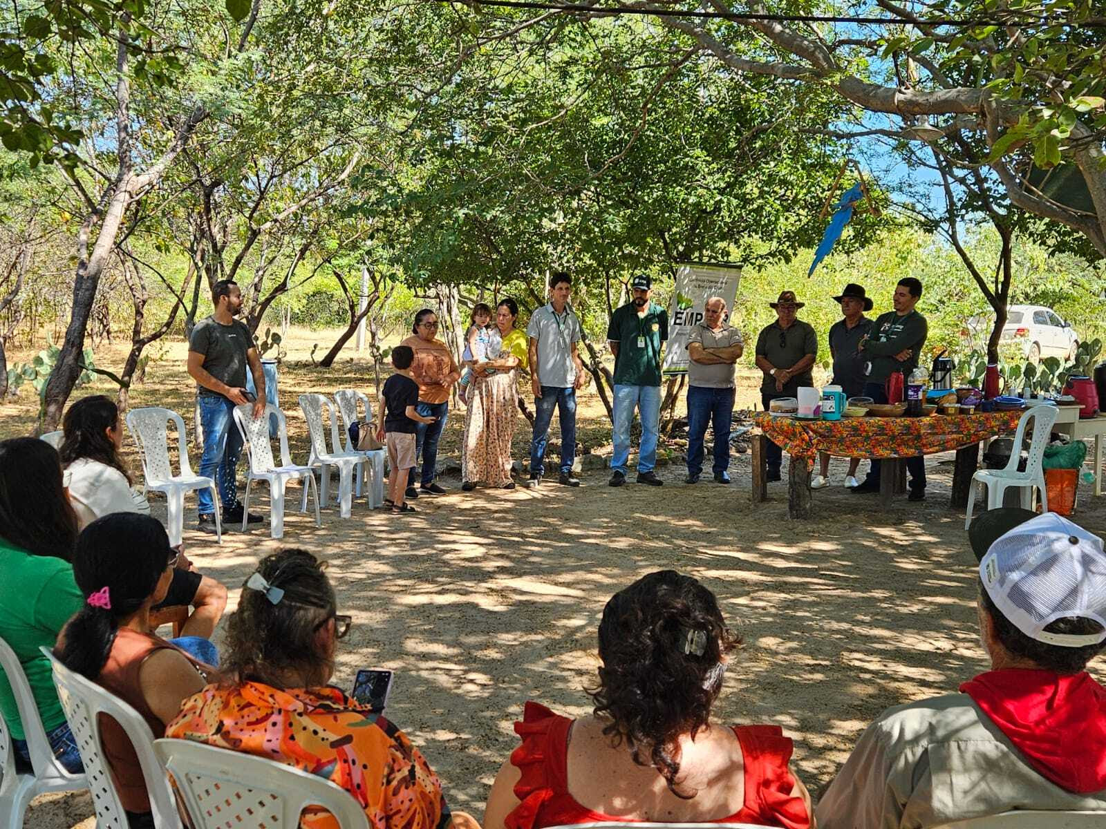 melipolinário