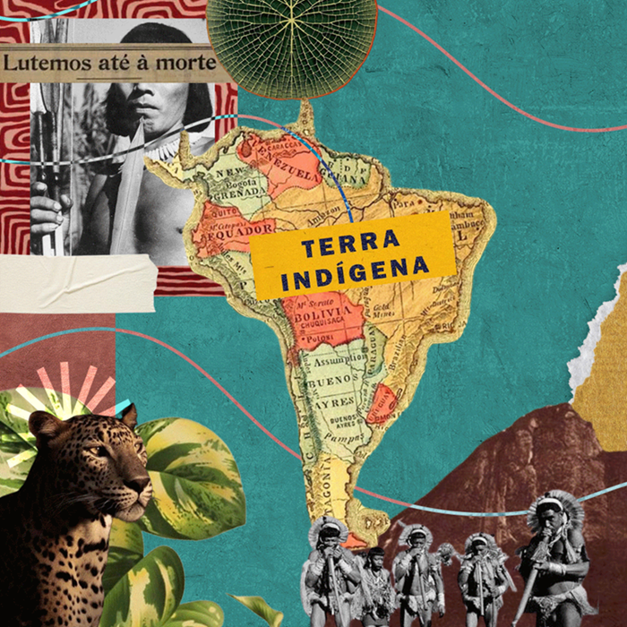 Recortes Insurgentes: Espaço Expositivo Alice Vinagre recebe exposição de Angela Pacífico