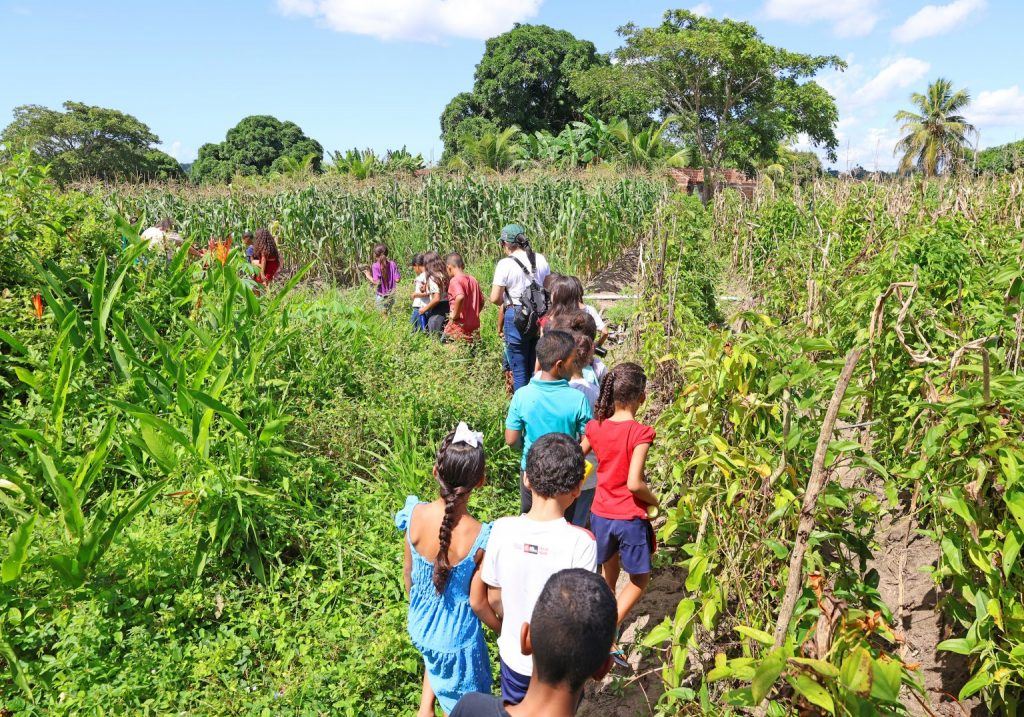 Semana da Agricultura Familiar vai ter ações educativas, feiras e ‘Festa no Campo’