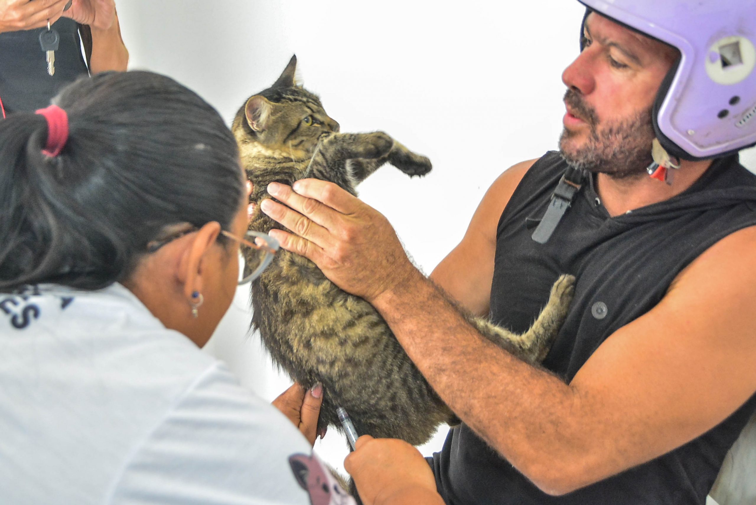 Homem de capacete roxo segura um gato tigrado enquanto uma mulher o examina, em ambiente claro e concentrado.