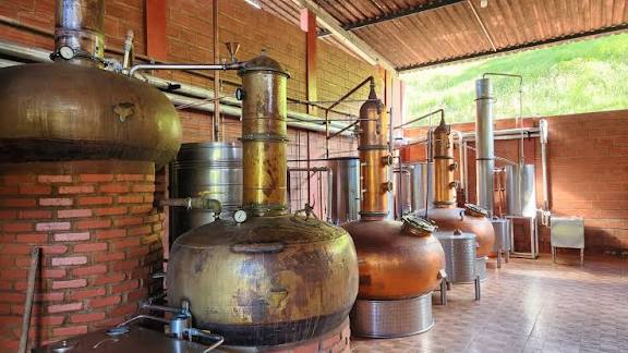 Areia Mostra Cachaça começa nesta quinta-feira (20) no brejo paraibano
