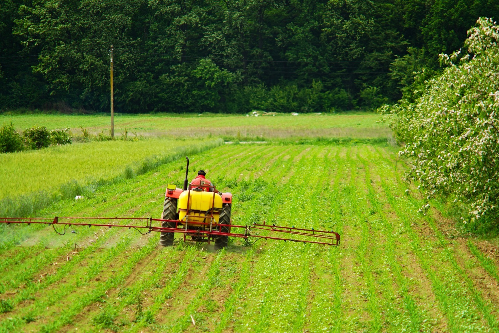crédito rural