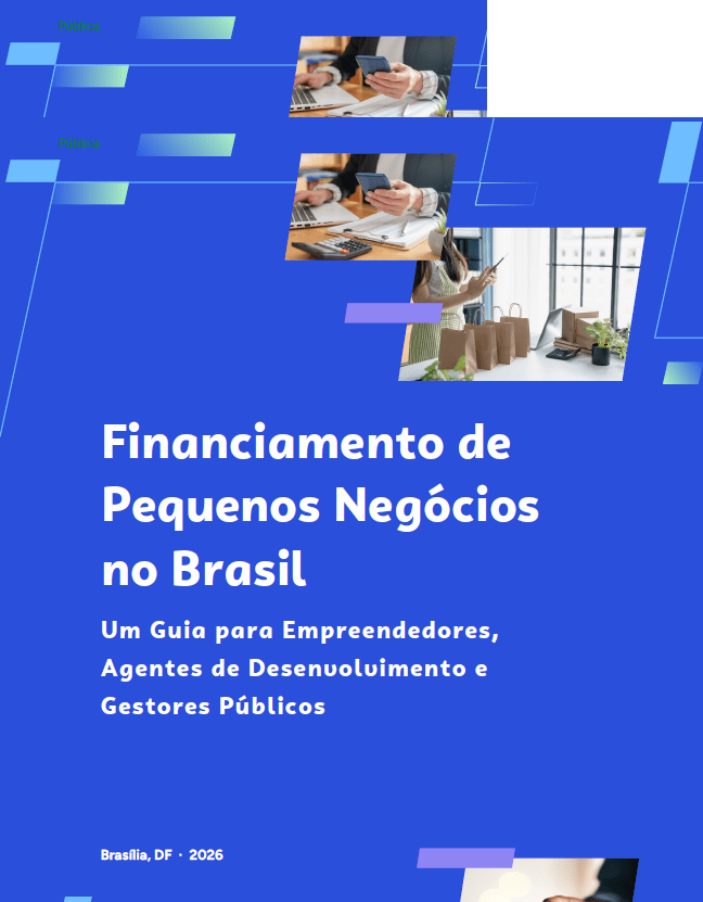 Financiamento de Pequenos Negócios no Brasil: Um Guia para Empreendedores, Agentes de Desenvolvimento e Gestores Públicos