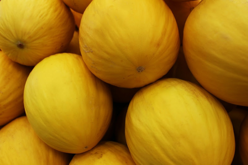 Sudene destaca produtos agrícolas do Nordeste com maior participação na produção nacional