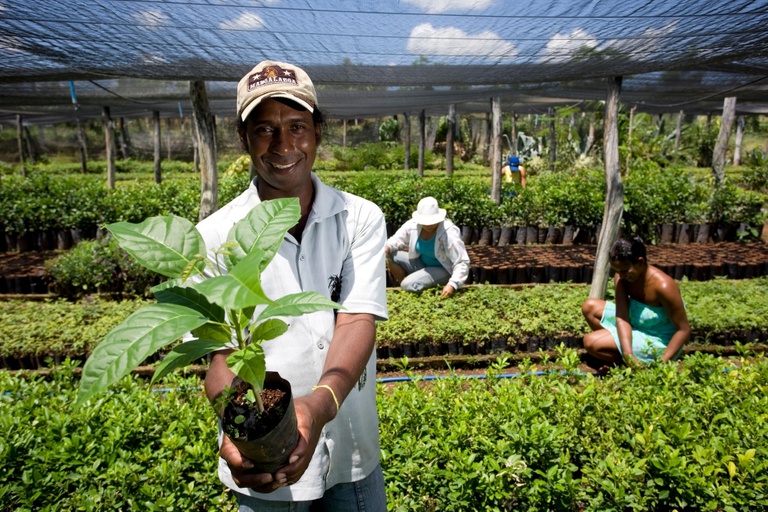 Contrata+Brasil: Paraíba registra mais de R$ 185 mil em contratações de MEIs e agricultores familiares